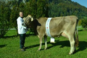 001Miss Lungern Zaster Zoldi Halters